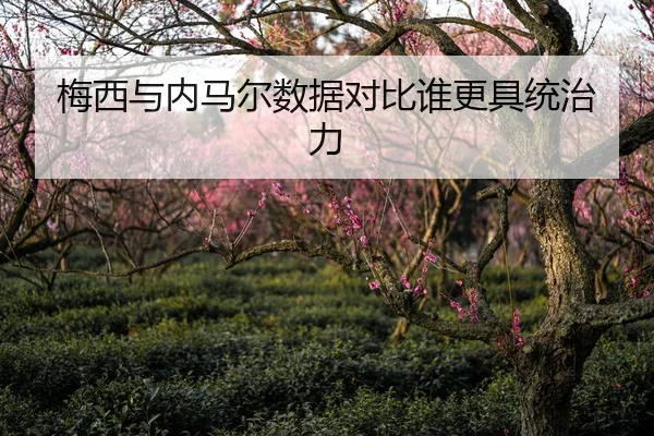 梅西与内马尔数据对比谁更具统治力
